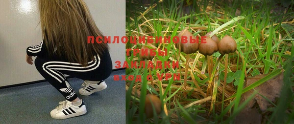 прущий лед Бронницы