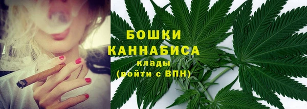 прущая мука Бородино