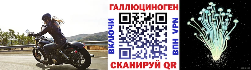 MEGA зеркало  Ачинск  Галлюциногенные грибы GOLDEN TEACHER 